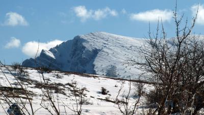 Прикрепленное изображение: E2193786_web.jpg